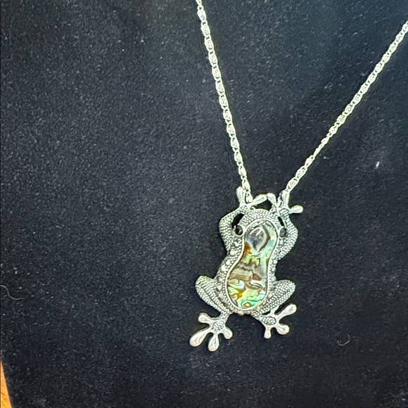 Other - Silver Frog Pendant Necklace with Abalone Inlay